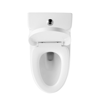 Elongated 1.1 Gpf One Piece Toilets Ceramic Chair Height Toilet
