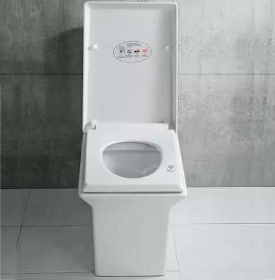 One Piece Siphon Flush Toilet Soft Closed Toilet Seat 3.7L