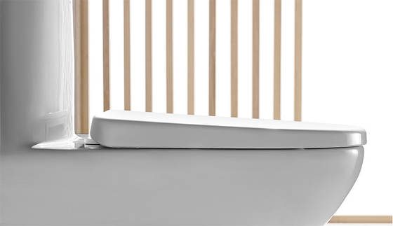 Washdown 1 Piece Dual Flush Toilet S trap 185mm Closestool